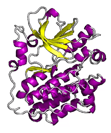 Kinase